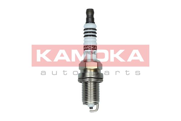 AutodielyRaja