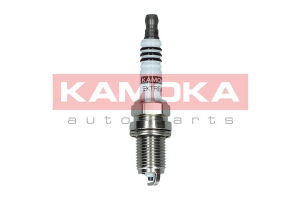 AutodielyRaja