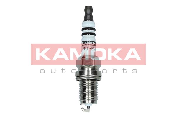 AutodielyRaja