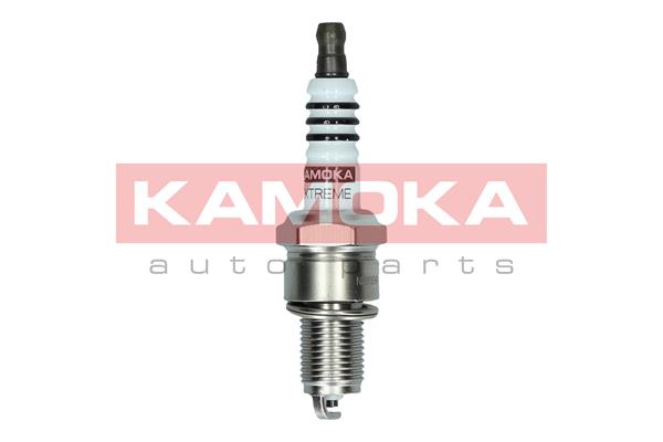 AutodielyRaja