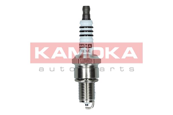 AutodielyRaja