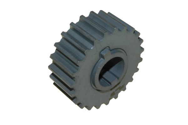 AutodielyRaja