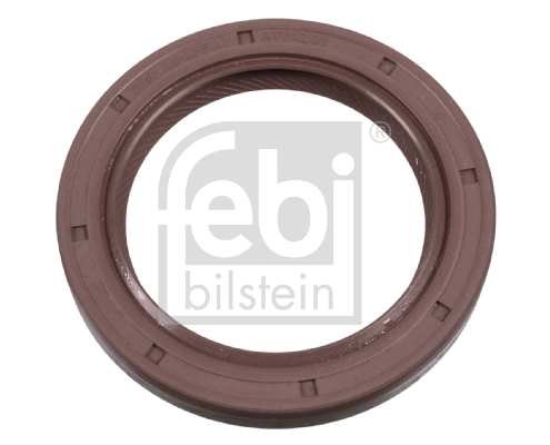 AutodielyRaja