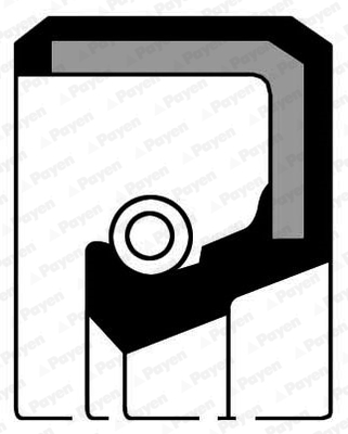 AutodielyRaja