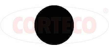 AutodielyRaja