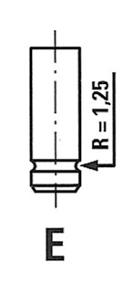 AutodielyRaja