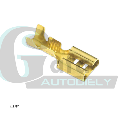 AutodielyRaja