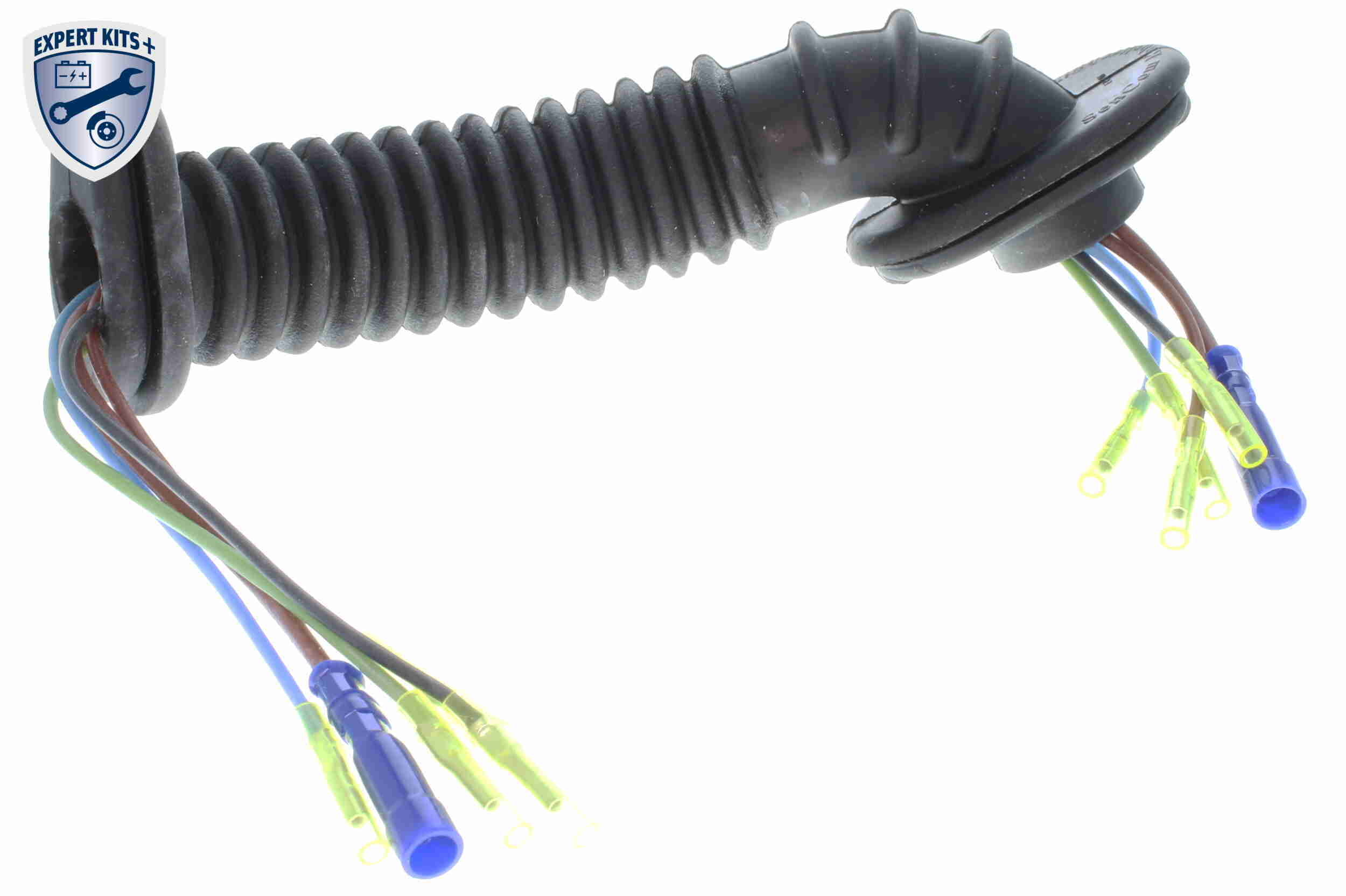 AutodielyRaja