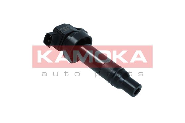 AutodielyRaja