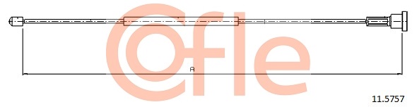 AutodielyRaja