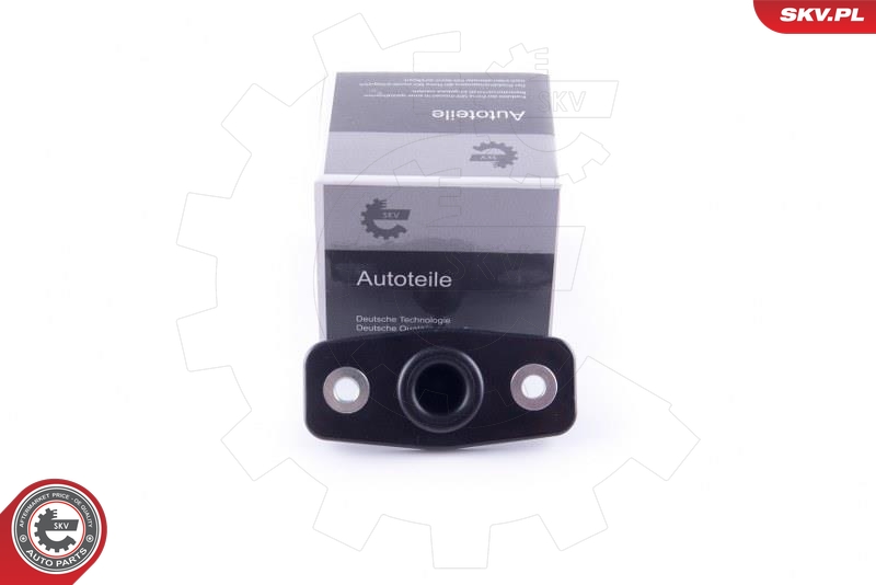 AutodielyRaja