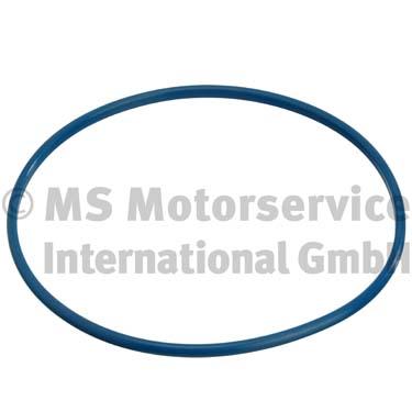 AutodielyRaja